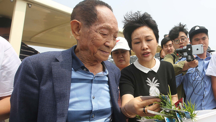 隆平团队迪拜沙漠海水稻获成功,将成阿联酋国