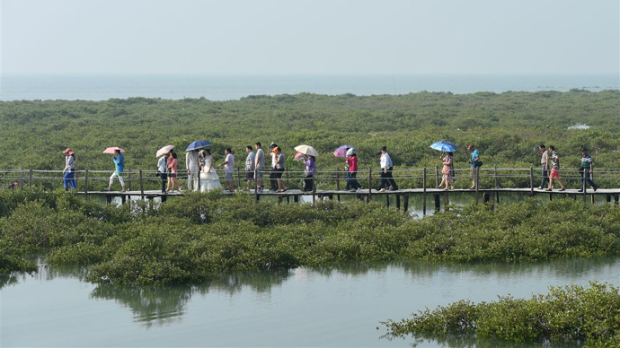 12月19日,有網友發視頻稱,到廣西北海旅遊,當地導遊一上車就要求全車