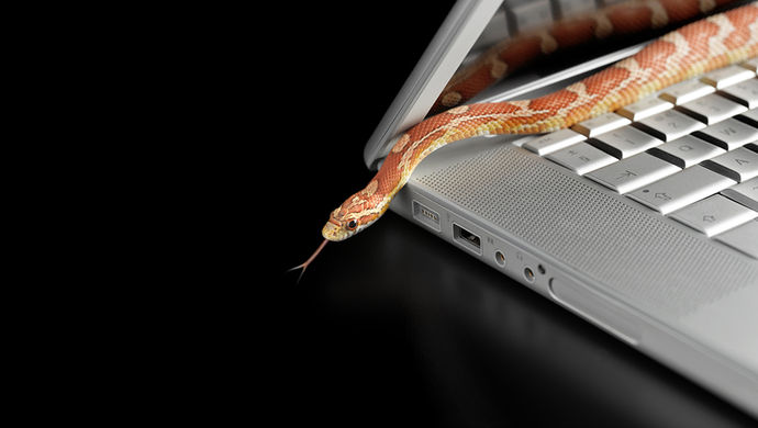 网上购买雅思考题被骗,卖家竟是95后在校大