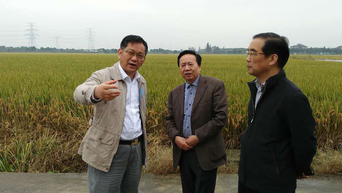 书记访谈③|孙雷:上海农业供给侧改革,路在何方?