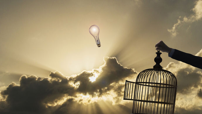 享经济:应追求社会价值增量,抵御住资本套利诱