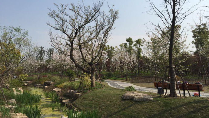 過去60餘年中,北新涇苗圃先後為延中綠地,新天地太平橋綠地等上海市