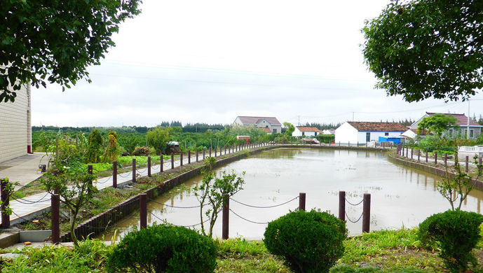 阡陌交通鸡犬相闻的农村社区如何打造?崇明