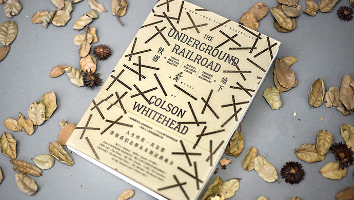 《地下铁道》中文版上市,这个关于勇气的故事