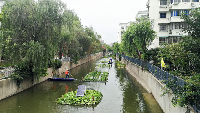 夏长浦 彭越浦 徐家宅河 这些市中心的臭水河变清后 沿线还将打造滨水漫步空间 上观