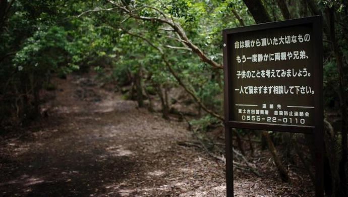 译天下丨走进日本的 自杀森林