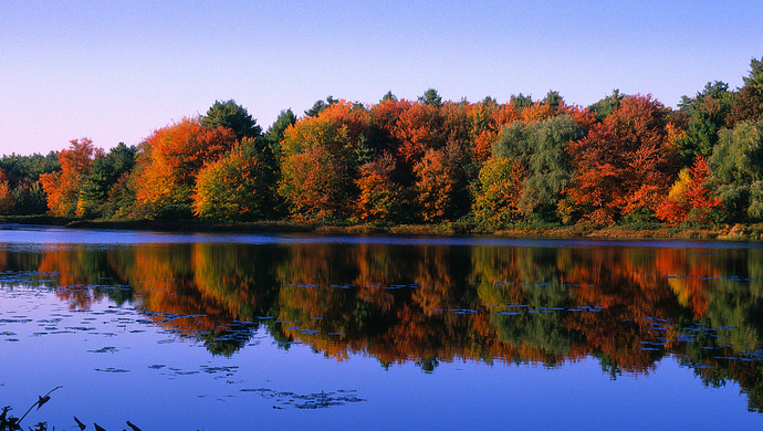 问我最想去美国的什么地方,我不假思索地回答他:"哈佛大学与瓦尔登湖