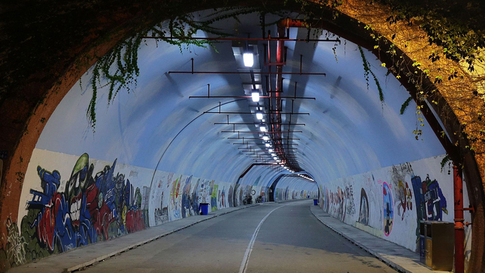 厦大芙蓉隧道遭游客涂鸦 学生贴纸条"求放过"
