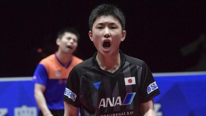 张本智和vs马龙图片