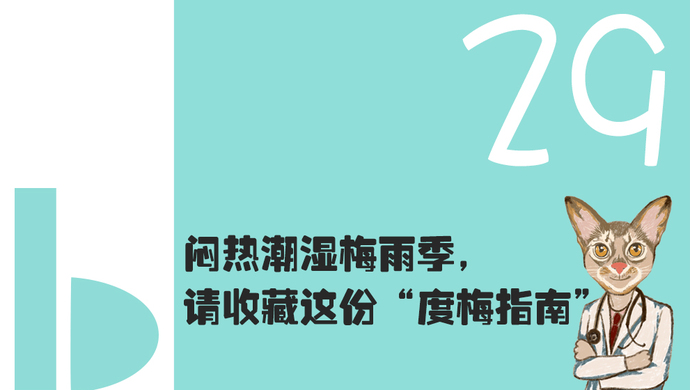 【喵医生诊所】闷热潮湿梅雨季,请收藏这份"度梅指南"