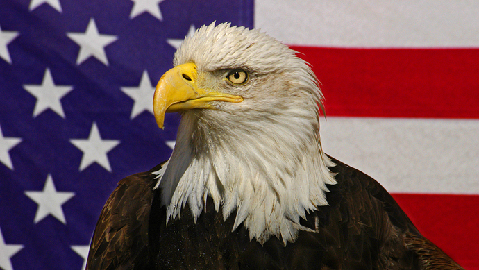 人民日报评论员:美国贸易霸凌主义贻害全球