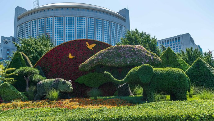 习近平主席将主持2018年中非合作论坛北京峰会