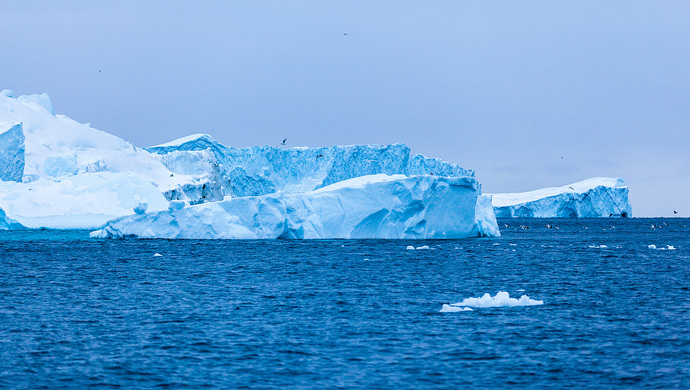 近期一项研究显示,北极圈格陵兰以北最厚的"千年海冰"正因高温大片