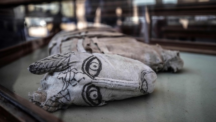 罕见埃及出土幼狮木乃伊和世界最大圣甲虫文物