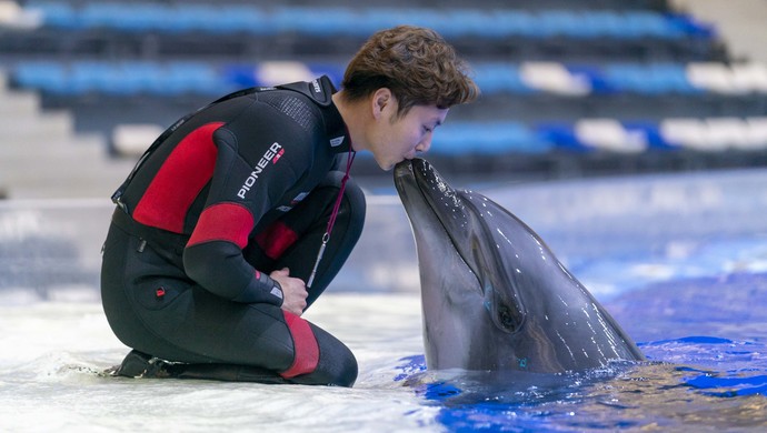 网红,海豚饲养员,拥有百万粉丝的他想在上海临港新片区安个家