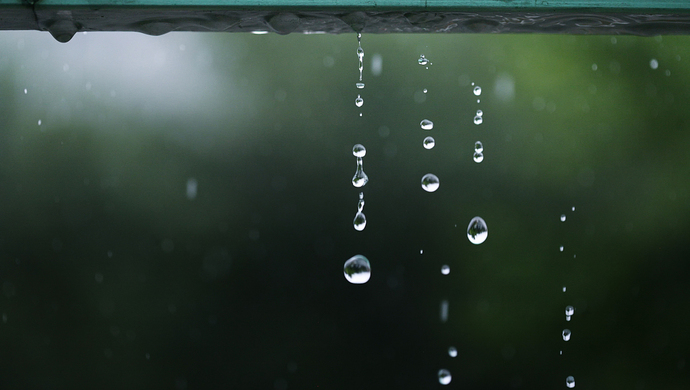 上海下雨下出了历史纪录 雨日数百年一遇 未来十天雨水还是 主角