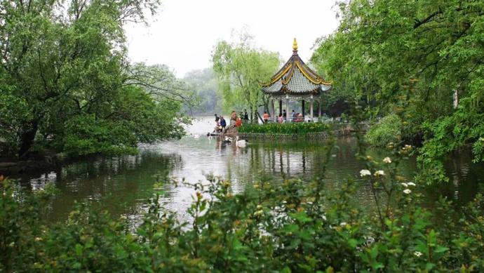 上海西郊公园图片
