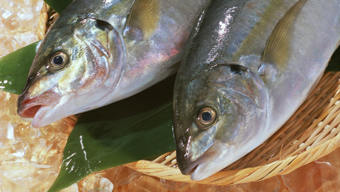 广东湛江海霸获刑25年垄断海鲜市场攫取暴利