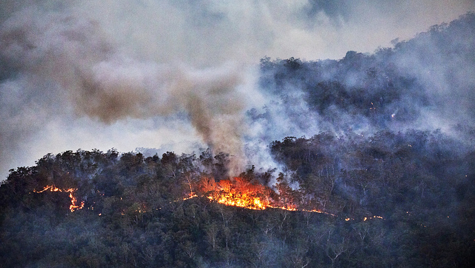 人员被困火场,经全力抢救,其中1名轻伤,武俊文,阴楷,牛鹏飞,平亚琦,霍