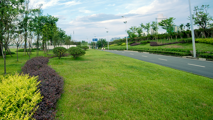 深圳一车主汽车停上绿化带3小时被罚3230元