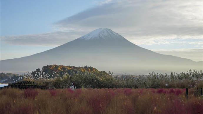 日本富士山,計劃徵收→_上觀新聞