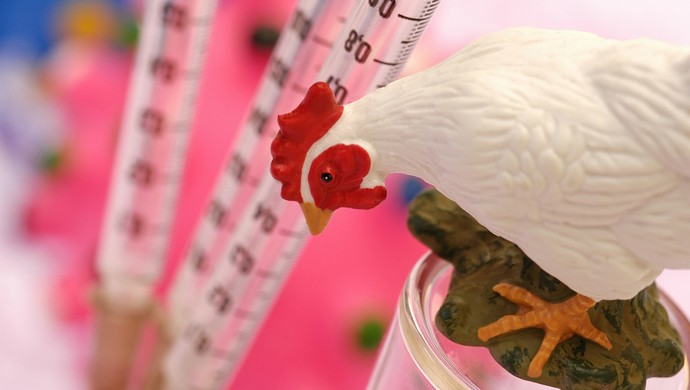 四川西充县发生家禽h5n6亚型高致病性禽流感疫情