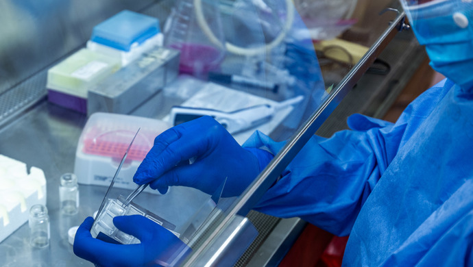 世卫组织最新报告:目前所有已知证据表明,新冠病毒非人为操纵或由实验