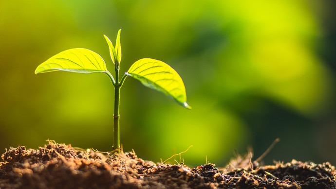 2026中国种子协会与省级种子协会（商会） 工作交流会议召开