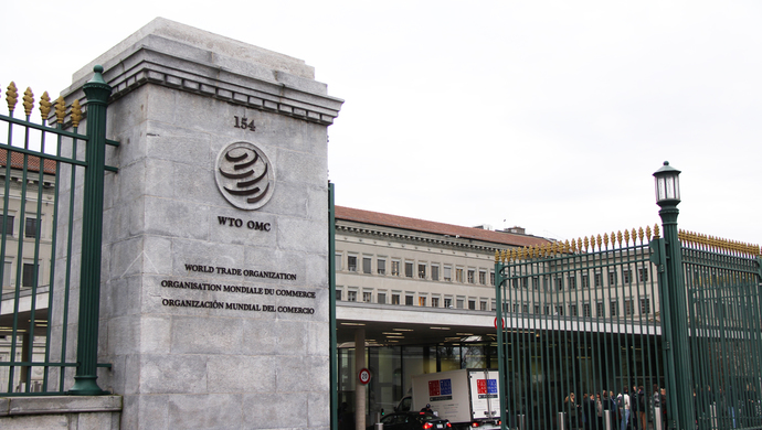 定了wto新总干事遴选程序6月8日启动花落谁家