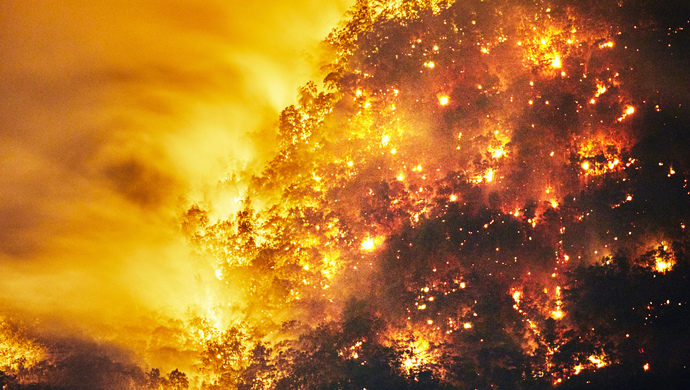 大兴安岭发生森林火灾2000余人赶赴扑救已扑灭一处林场明火