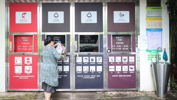 上海垃圾分类神器被用过近3000万次，粽叶究竟是湿垃圾还是干垃圾？