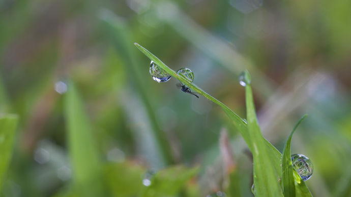 超长梅雨季降雨量多 上海连续三个月开展集中灭蚊专项行动 呼吁市民积极参与