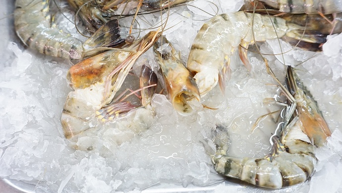 重庆进口冻虾部分包装核酸检测阳性虾体及接触人员未发现阳性