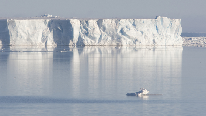 两天消失一个曼哈顿加拿大最后完整北极冰架坍塌
