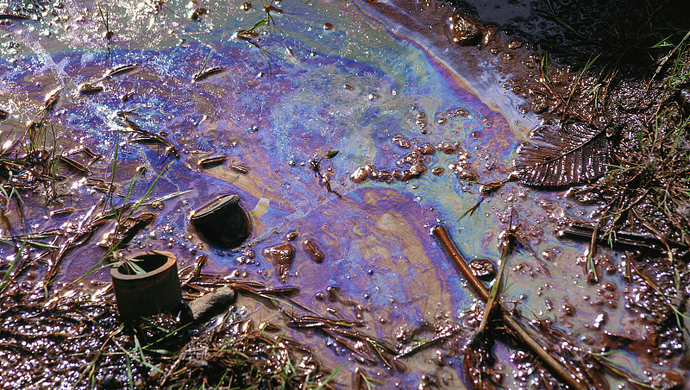 山羊拱舔黄土堆后死去,蹊跷事牵出非法倾倒危废环境污染案