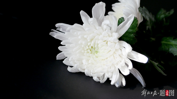 蓝营"女将"唐慧琳病逝,遗愿"两岸和平,中华复兴"