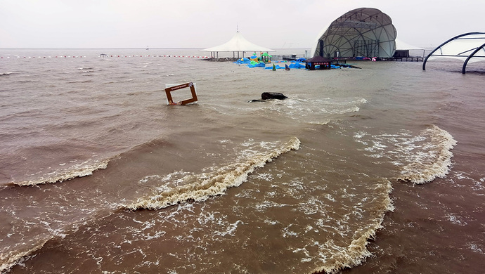 烟花再次登陆奉贤碧海金沙大浪滔天