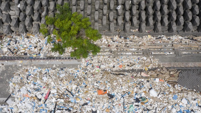 台风"烟花"留下遍地垃圾,上海滨江森林公园喊市民一起参与清理
