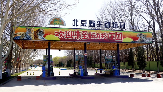 北京野生動物園這則聲明,值得細品