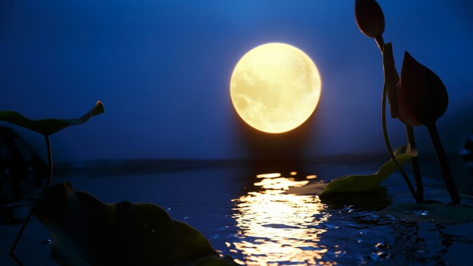 十五的月亮高清风景图图片