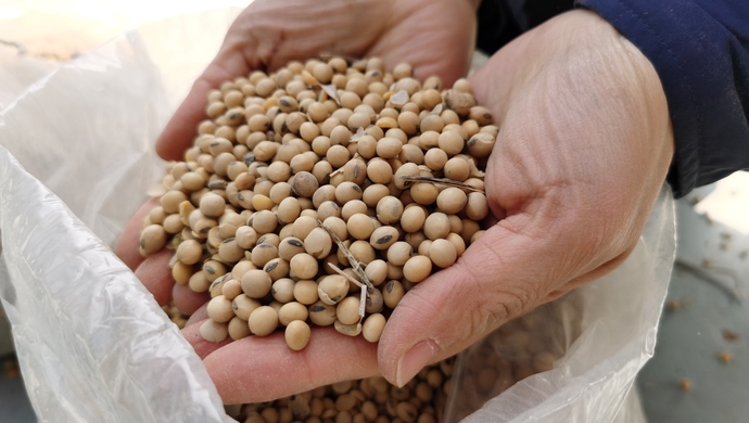 阿根廷水道被堵,影响中国大豆供应?