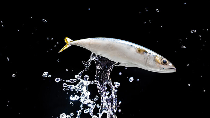 司机生吃半条带鱼自证新鲜才被免费放行?涉事高速:查验流程合规