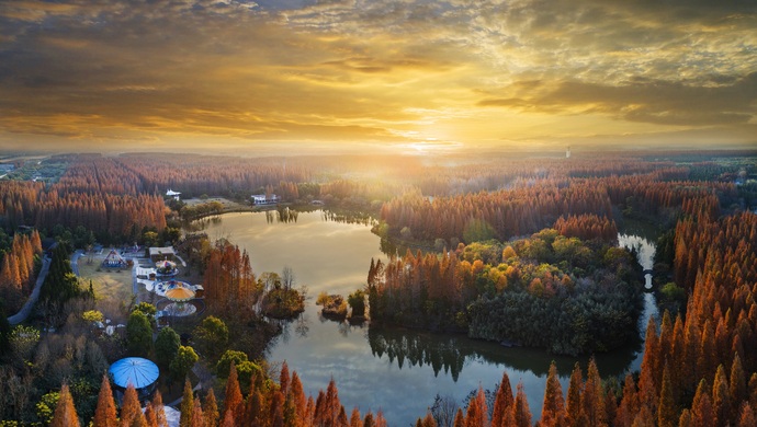 上海崇明岛风景图片图片