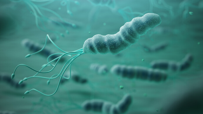 别被抗幽牙膏忽悠了科学认识胃中幽灵幽门螺旋杆菌