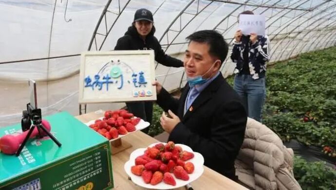 直播带货的"80后"副区长林立,跨省履新市委常委_上观新闻