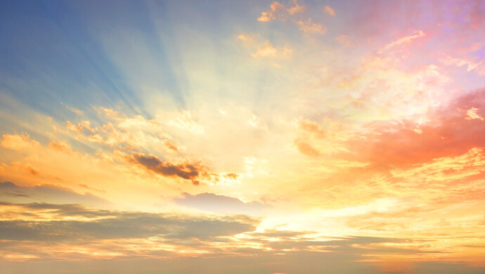 武汉援沪医疗队队员托举朝阳照片,火了!_上观新闻