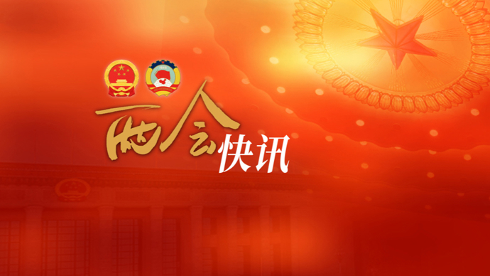习近平等党和国家领导人出席十四届全国人大四次会议开幕会