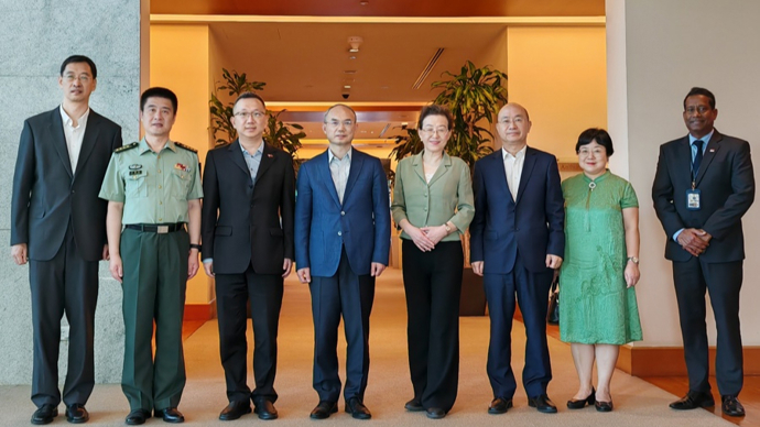 70后女大使回国履新后他接任