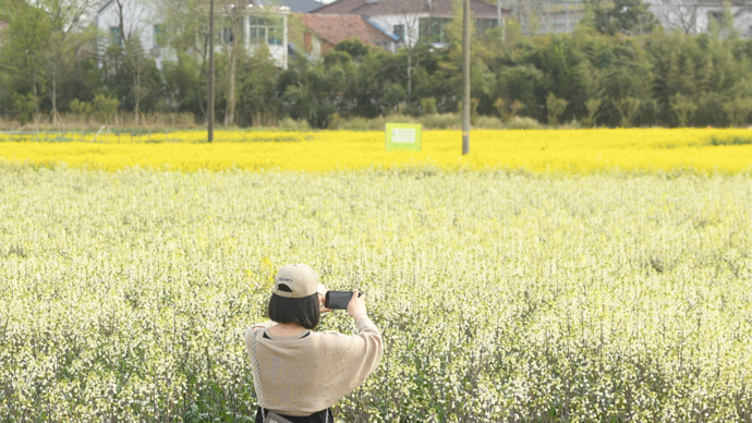 当年轻人回老家拍起了乡村情景剧