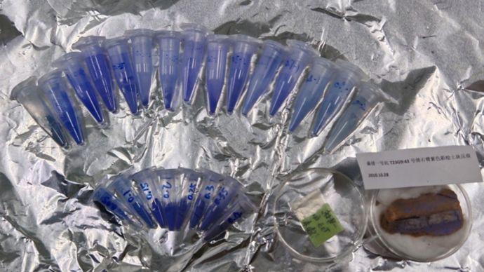 兵马俑身上的紫色竟是量子材料？上科大科研团队揭示千年前“中国紫”合成之谜